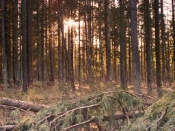 IMGP9501_HDR_Vinterstemning